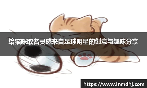 U8国际品牌入口